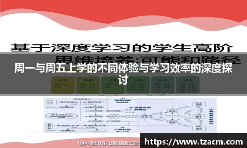 周一与周五上学的不同体验与学习效率的深度探讨